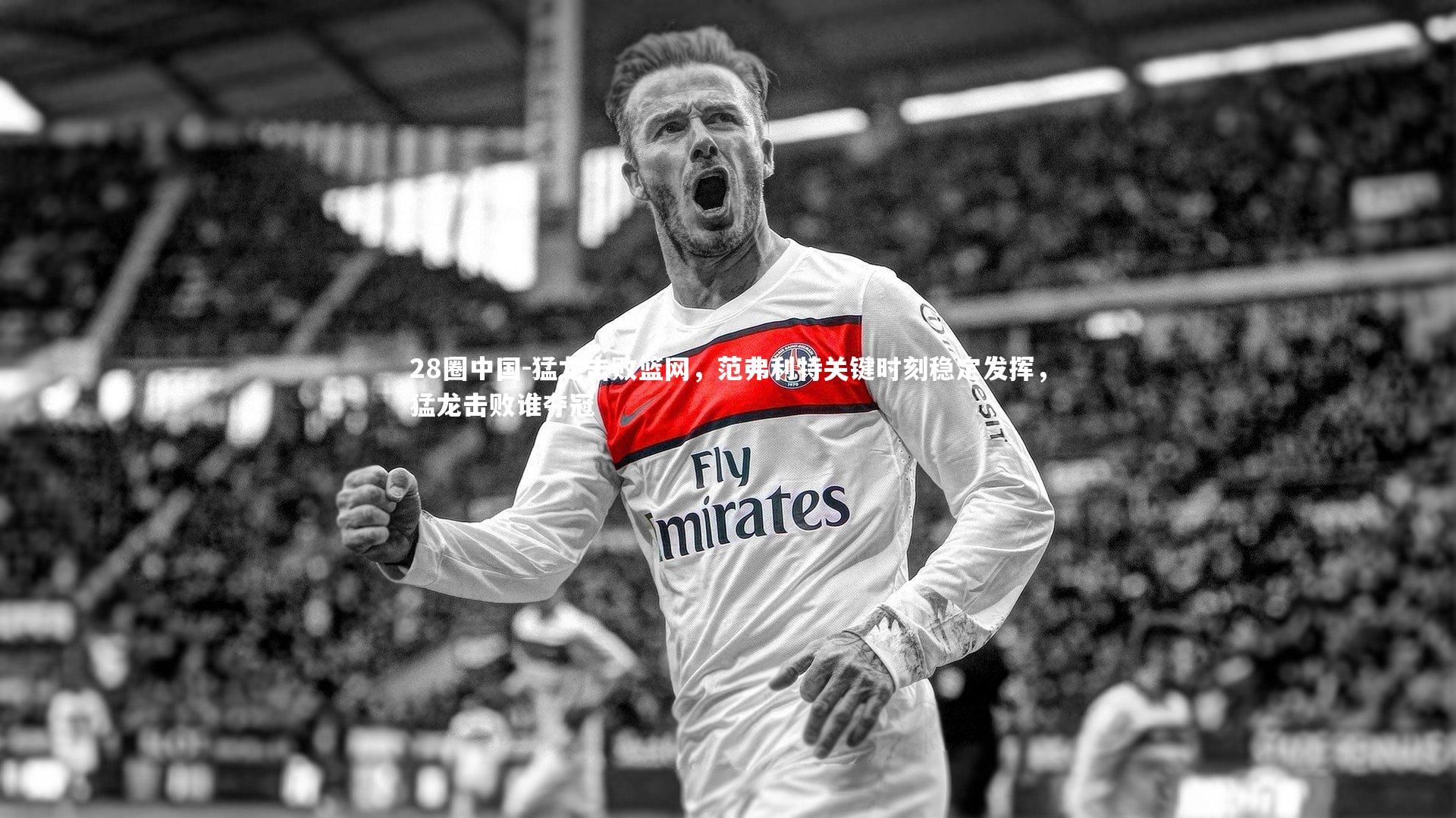 猛龙击败篮网，范弗利特关键时刻稳定发挥，猛龙击败谁夺冠