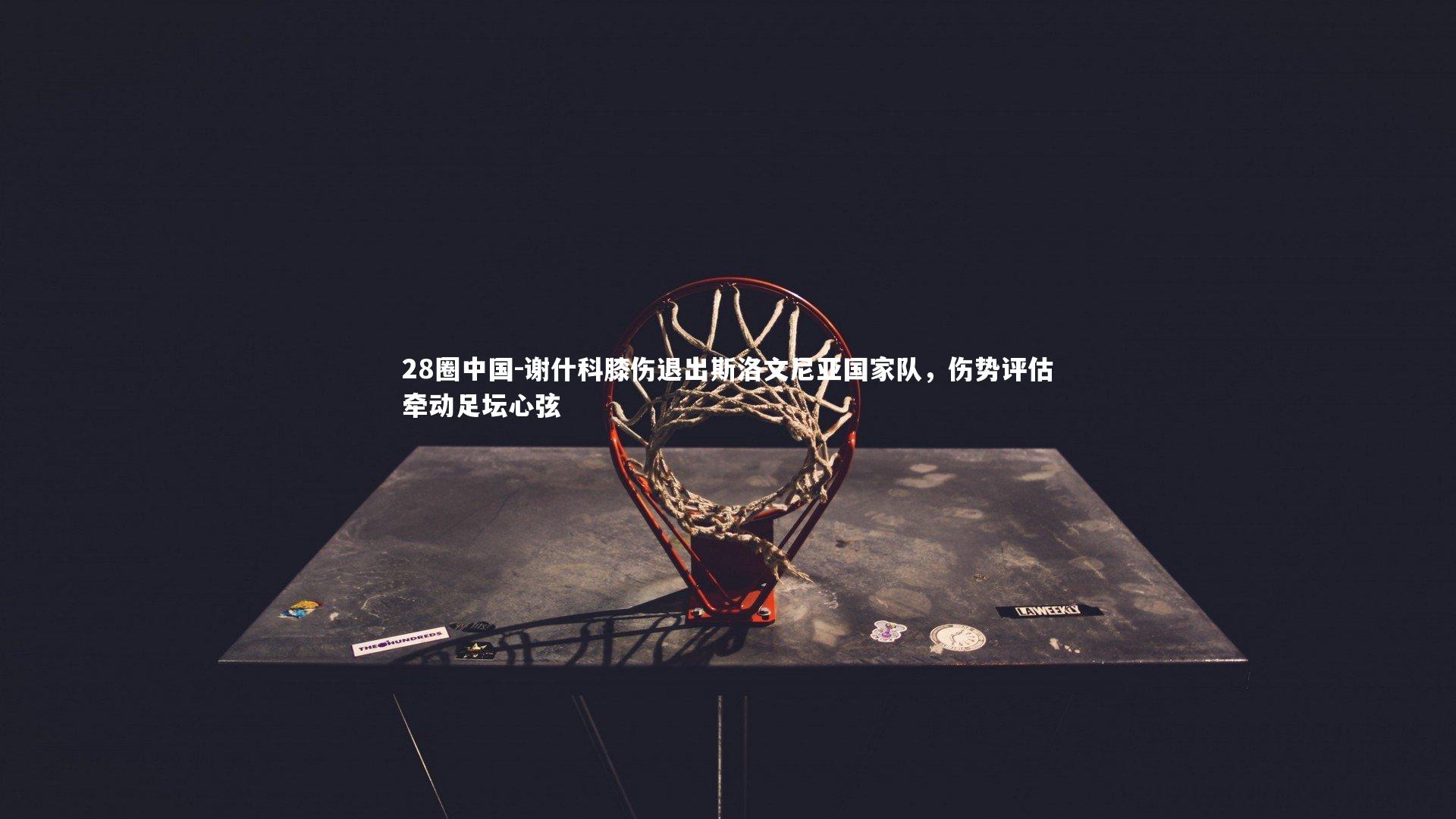 谢什科膝伤退出斯洛文尼亚国家队，伤势评估牵动足坛心弦